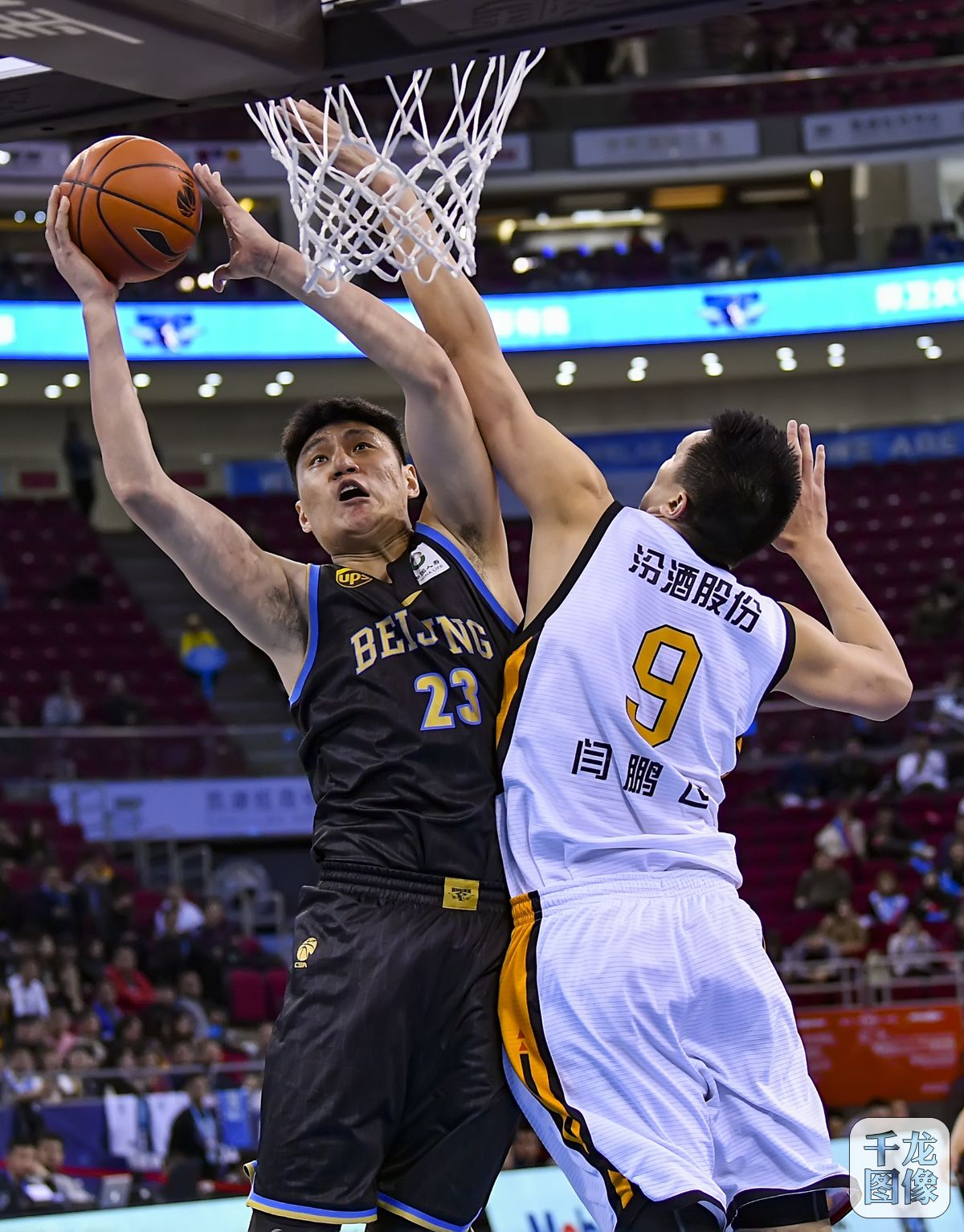 不仅有望留 不仅有望留