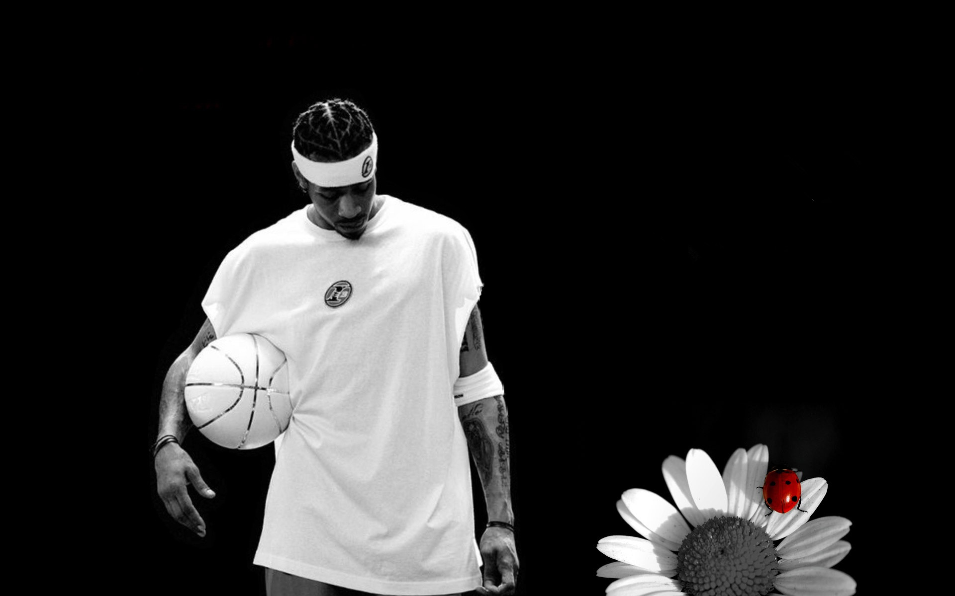 而是复制他 而是复制他