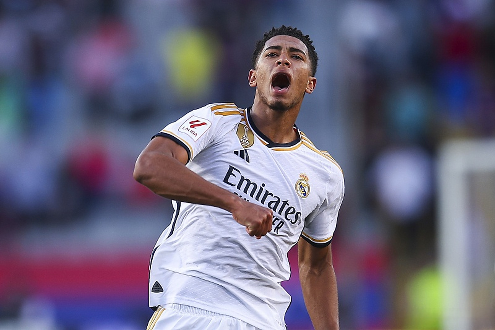 公开模型参 公开模型参