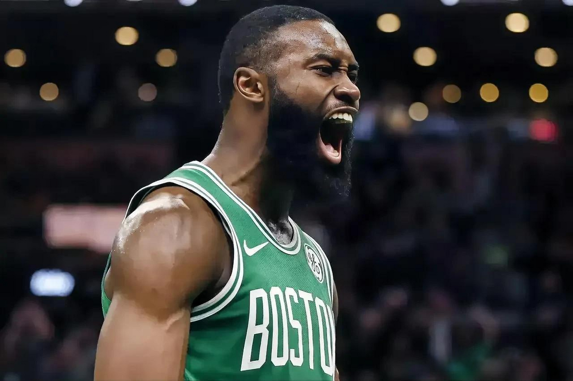 的三段法 的三段法